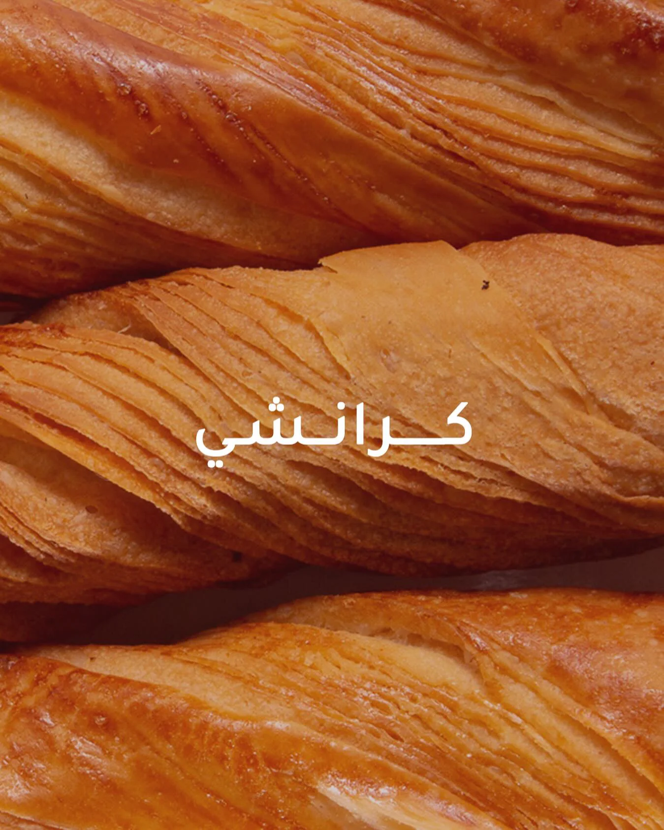 ليزي كات Lazy Cat - تصميم 3